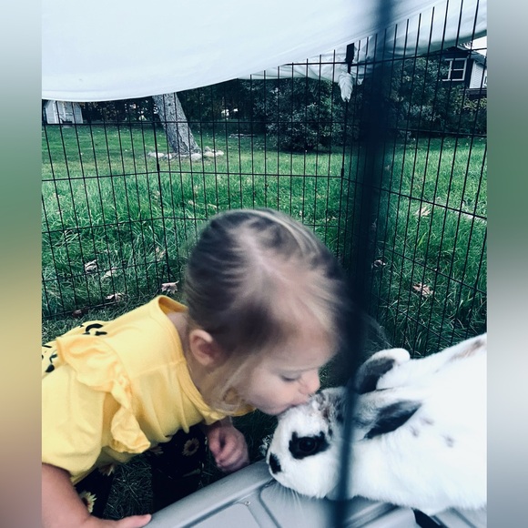 Meet your Posher, Anastasia - Picture 7 of 8